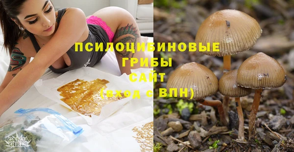 спайс Баксан