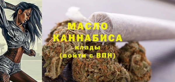 молекула духа Балахна