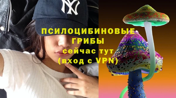 спайс Баксан