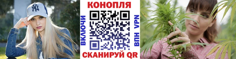 Шишки марихуана SATIVA & INDICA купить сайты Волжск